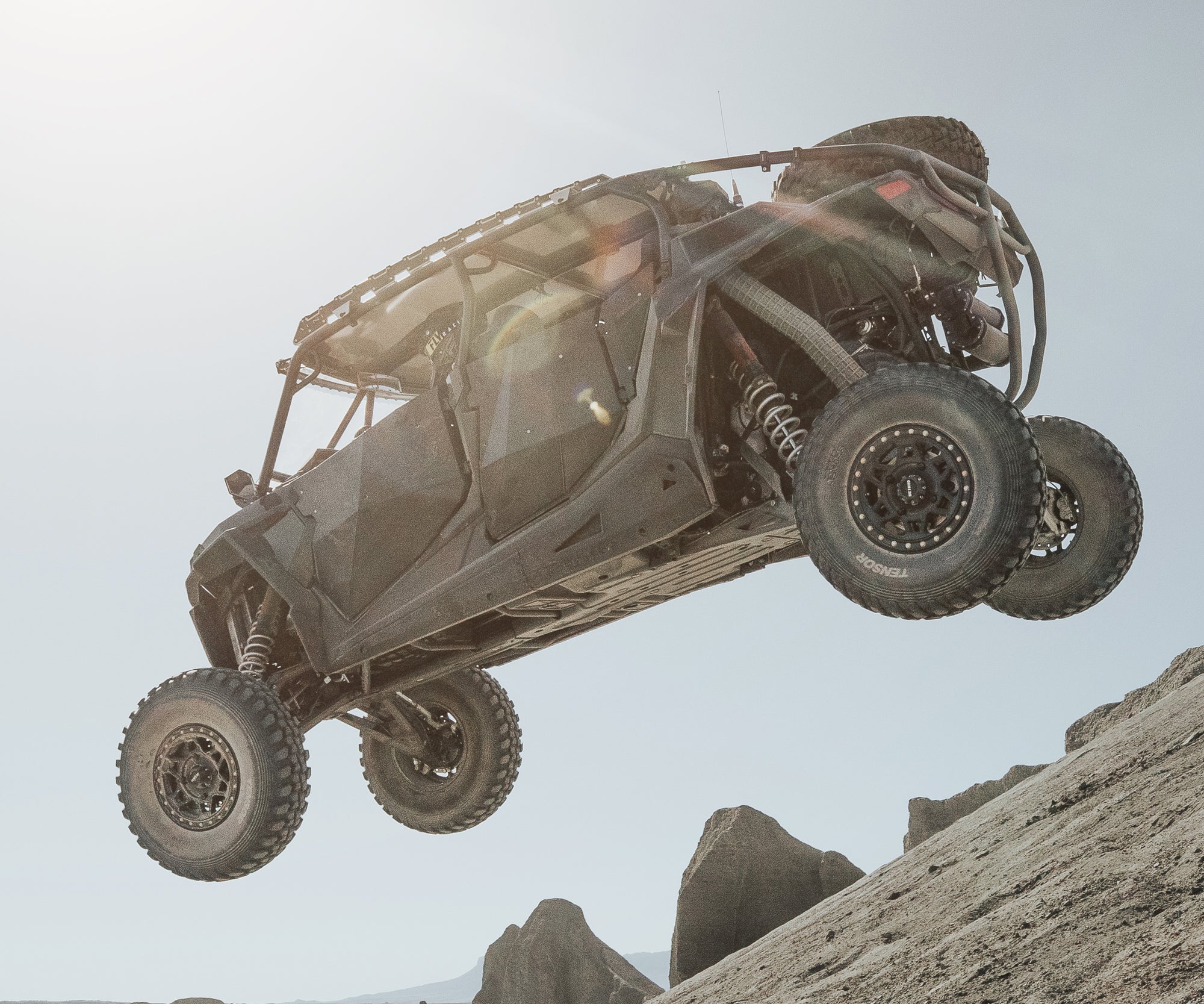 RZR 1000 4-Seat Fastback Cage