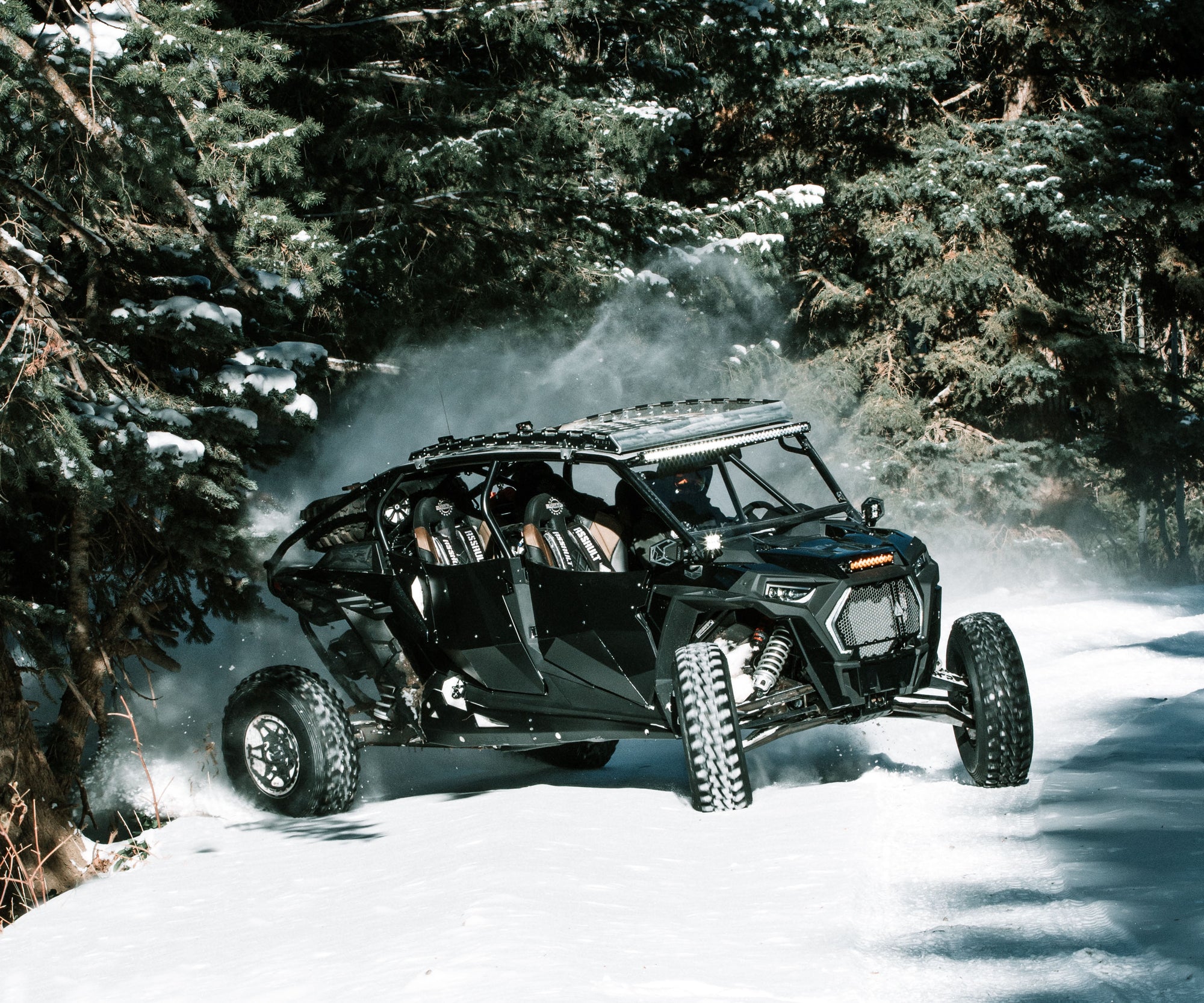 RZR 1000 4-Seat Fastback Cage